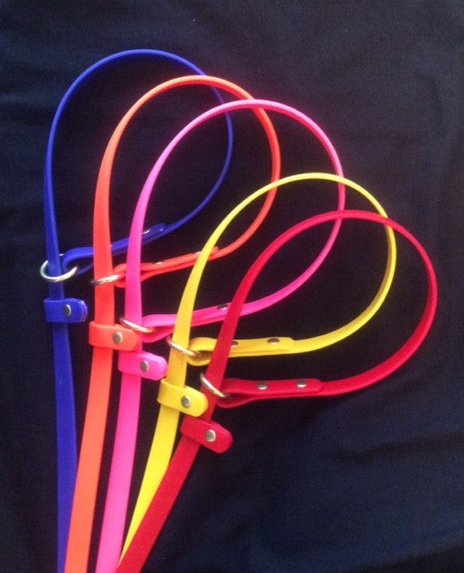 BioThane Slip Leads in Multiple Colors