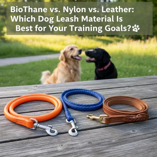 BioThane, Nylon, and Leather Leashes shown side by side with dogs in the background.