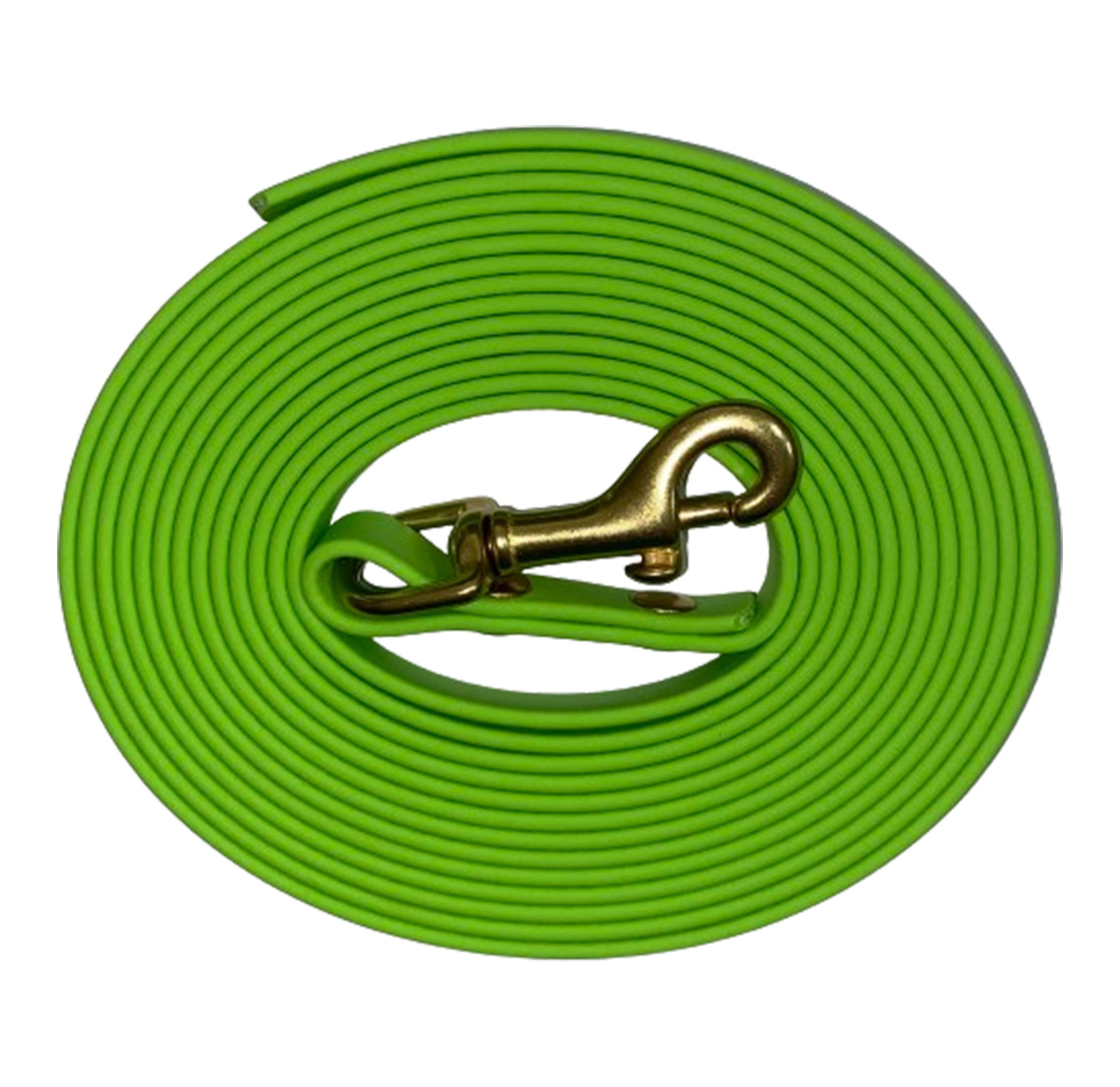 Palomine biothane leash sale