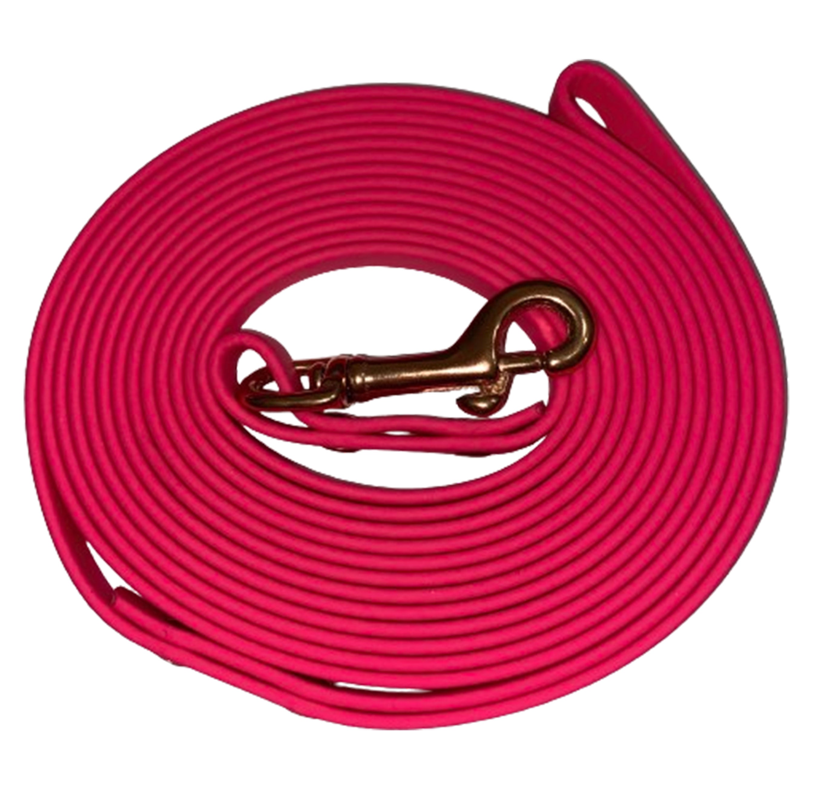 Palomine hotsell biothane leash